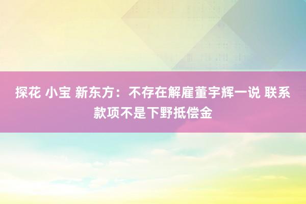 探花 小宝 新东方：不存在解雇董宇辉一说 联系款项不是下野抵偿金