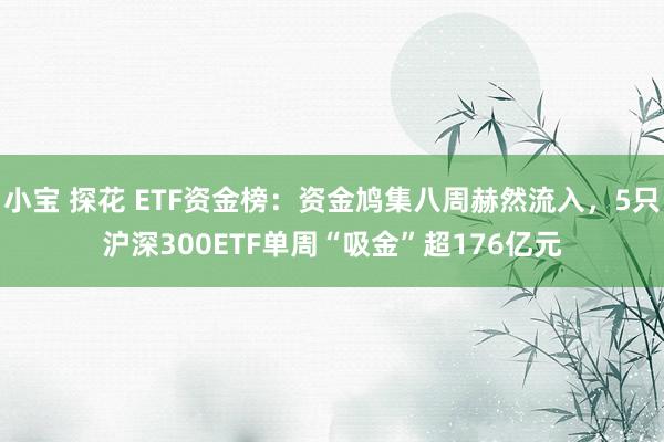 小宝 探花 ETF资金榜：资金鸠集八周赫然流入，5只沪深300ETF单周“吸金”超176亿元