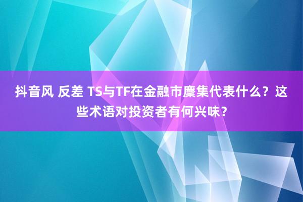 抖音风 反差 TS与TF在金融市麇集代表什么？这些术语对投资者有何兴味？