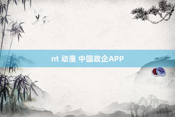 nt 动漫 中国政企APP