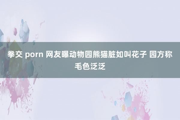 拳交 porn 网友曝动物园熊猫脏如叫花子 园方称毛色泛泛